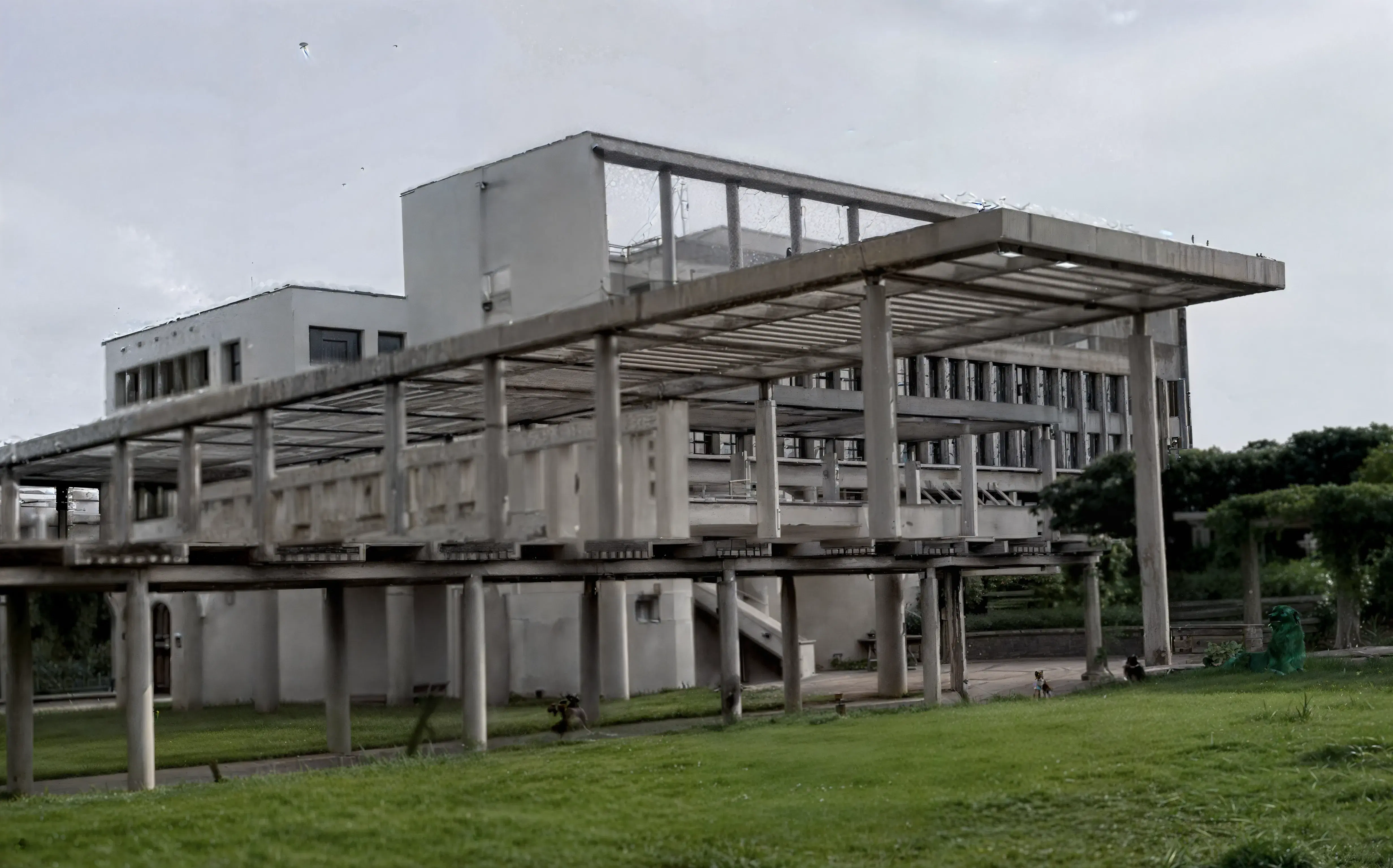 IIM Raipur campus photo 3